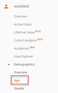 google analytics demographic information