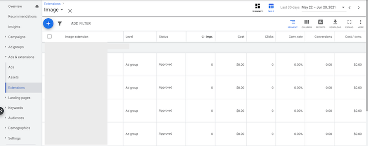 google ads image extension reporting by placement