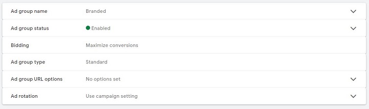google ads account anatomy - ad group level settings screenshot