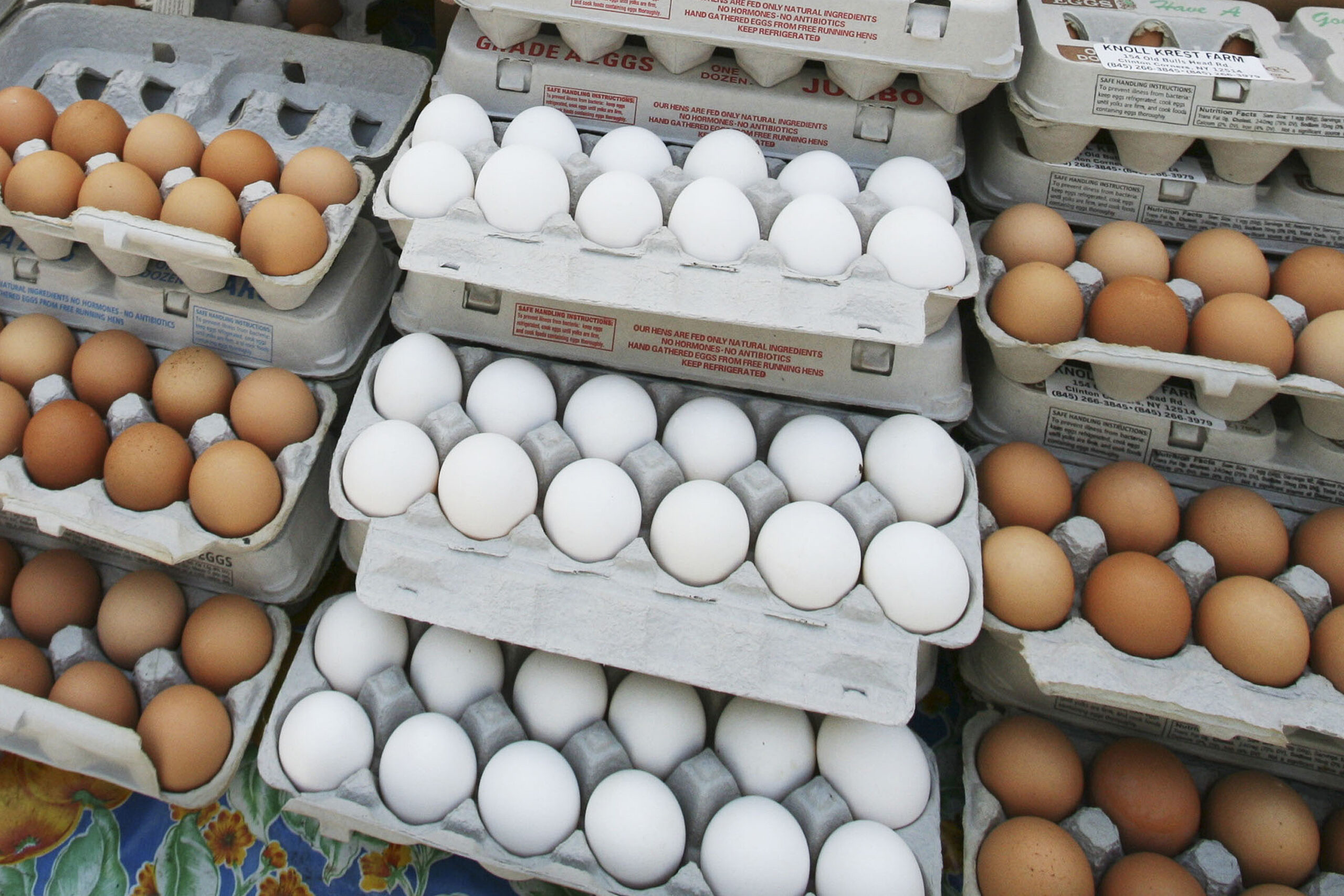 Wisconsin eggs cause multi-state salmonella outbreak