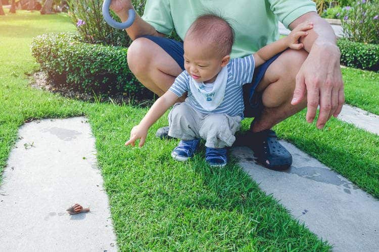 toddler playing in grass