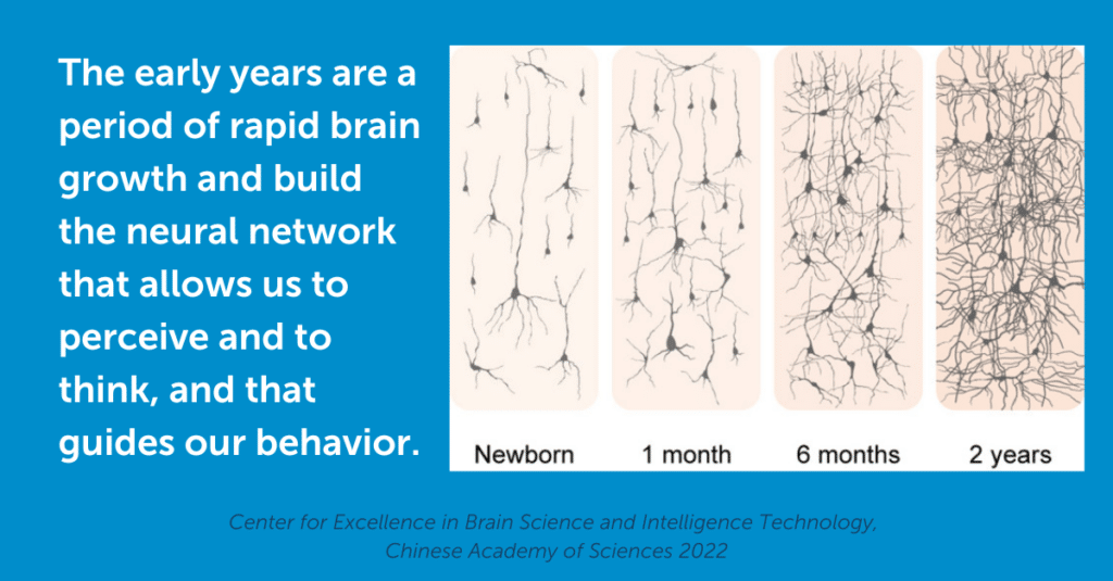 A chart showing how many neural connections are made throughout the firs two years of life.