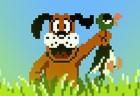 Duck Hunt Plus