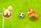 Pet Soccer