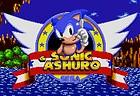 Sonic the Hedgehog & Ashuro