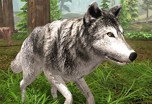 Wolf Simulator Wild Animals 3D