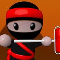 Ninja Painter 2