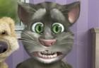 Talking Tom Cat 2