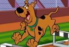 Scooby Doo Hurdle Race