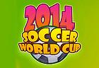 2014 Soccer World Cup