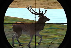 Animal Hunter 3D