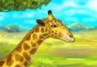 Giraffe Zoo