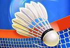 Power Badminton