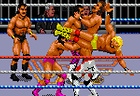 WWF Rage in the Cage