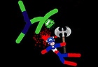 Stickman Warriors: Fatality