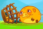 Mango Piggy Piggy Farm