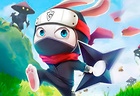 Ninja Rabbit