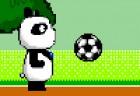 Panda Ball