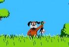 Duck Hunt