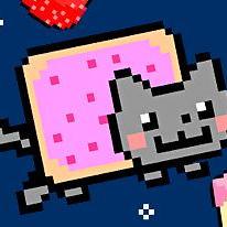 Nyan Cat Fly