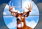 Deer Hunter Training Camp