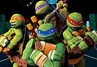 Teenage Mutant Ninja Turtles: Ninja Training