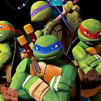 Teenage Mutant Ninja Turtles: Ninja Training