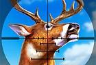 Deer Hunter