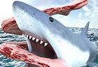 Shark Simulator Beach Killer