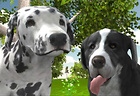 Dog Simulator 3D