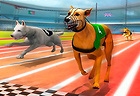 Dog Simulator 3D Racing