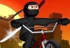 BMX Stunts 3