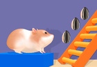 Hamster Stack Maze