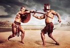 Gladiator Fights